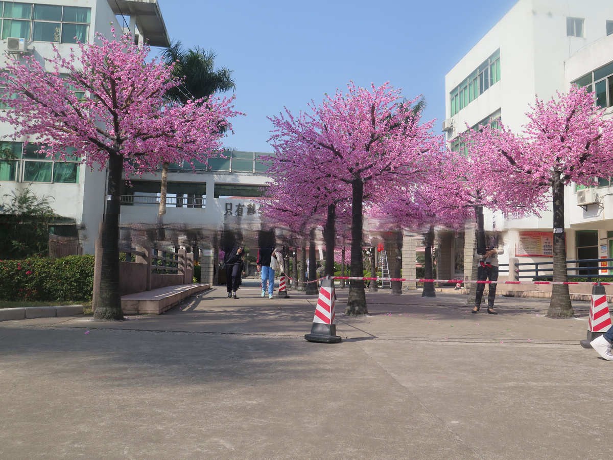 芗城上海红枫仿真树